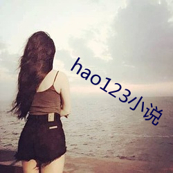 hao123小说