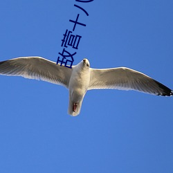 敌营十八年第二部全集免费