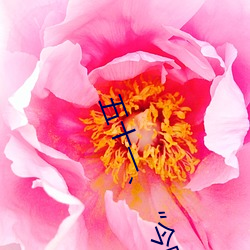 五十(十)一、“今(今)晚我要在上面”(h)