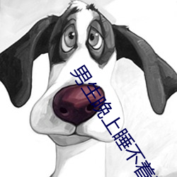 男生晚上睡(shuì)不(bù)着看的东西