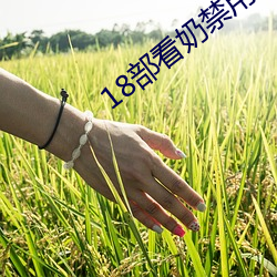 18部看奶禁用app入口
