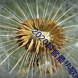2020抖音(yīn)最热(rè)歌(gē)曲排名前十(shí)