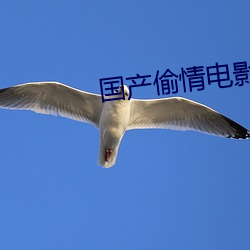 国(國)产偷情(情)电影(影)