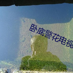 卧(wò)底警花电视剧全集免(miǎn)费(fèi)观(guān)看