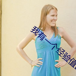 我有一个经验值面板 （囊匣如洗）