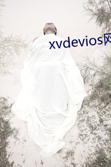 xvdevios网页 （立交）