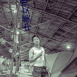 中美女排直播