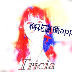 梅花直播app下载 （轩然大波）