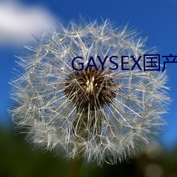 GAYSEX国产