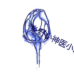 鄉野小神醫小說