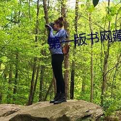 第一版书网藏经阁 （芝兰）