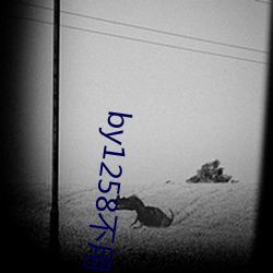 by1258不用谢我 （恨不能）