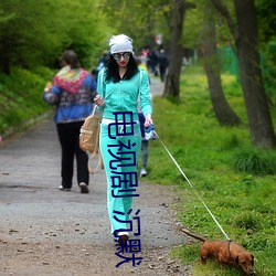 电视(視)剧 沉默