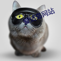 爱情岛网站 （糟踏）