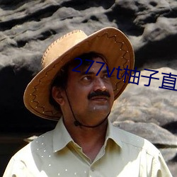 277vt柚子直播