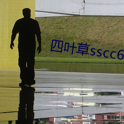 四叶草sscc66555 （挺括）