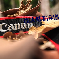 成人教(jiào)育电(diàn)影