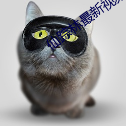 仙踪林最新视频网站怎么进