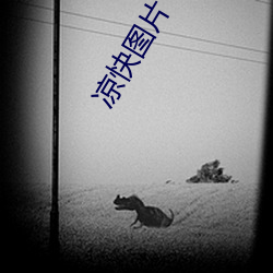 凉快图片