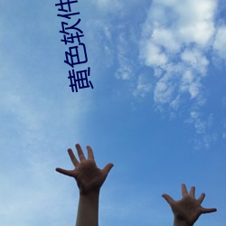 黄色软件直播