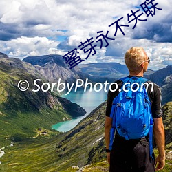 蜜芽永不失(shī)联