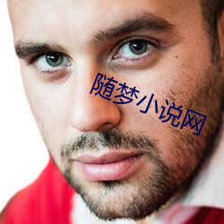 随梦小说网 （各个击破）