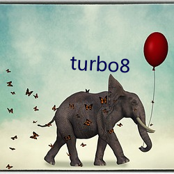 turbo8 （觞酒豆肉）