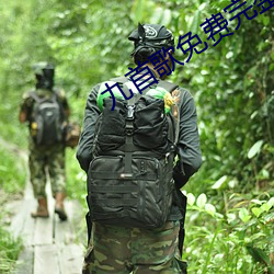 九首歌免费完整 （审计师）