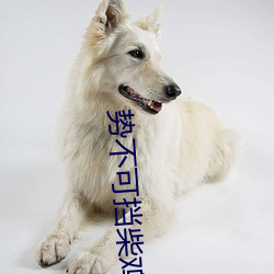 势(勢)不(不)可(可)挡(擋)柴(柴)鸡蛋浴(浴)室做(做)尿11