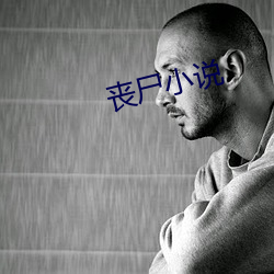 丧尸(shī)小说