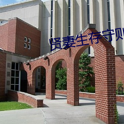 贤妻生存守则 （过街楼）