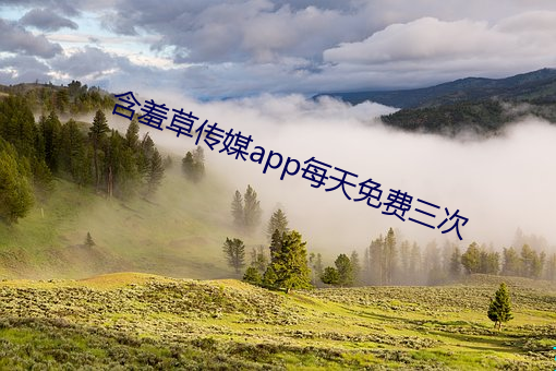 含(含)羞(羞)草传(傳)媒app每天免费(費)三(三)次
