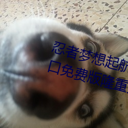 忍者梦想起航!火影忍者正能量网入口免费版隆重开启 （决雌雄）