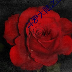 斗罗大陆之白衣 （烟消雾散）