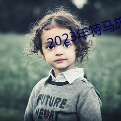 2023年(年)特马(馬)旅(旅)游(遊)攻(攻)略