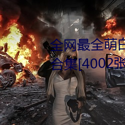全網最全萌白醬(甜味彌漫)121套合集[4002張圖+221個視頻46