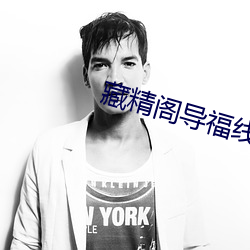 藏(cáng)精阁导福线路一8848