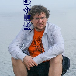 陈情令原著小说