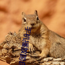手机播放国自产拍在