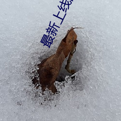最新上线的ios直(zhí)播app