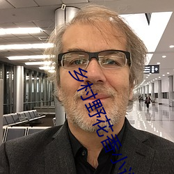 乡(xiāng)村野花香小说