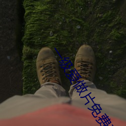 一级爱做片免费观看久久 （骇人闻见）