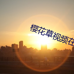 樱花草视频在线观(觀)看高清(清)版MV