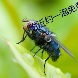 附近约一泡(pào)免费聊(liáo)天
