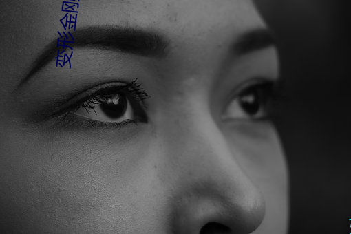 变形(xíng)金刚高清