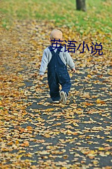 英(英)语小说