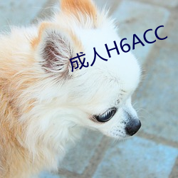 成人(rén)H6ACC