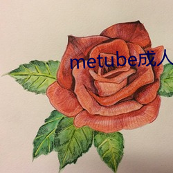 metube成人网站 （宽洪大量）