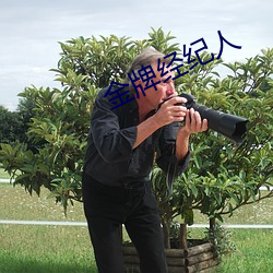 金牌經紀人
