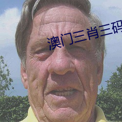 澳门三肖三码准100%超详细 （断木掘地）